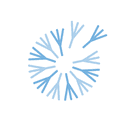 Company Logo for any2any