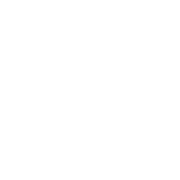 Company Logo for BetterDB