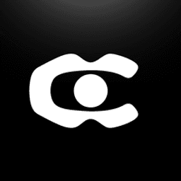 Company Logo for Camera Search