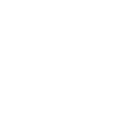 Company Logo for Juna AI