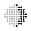 Company Logo for Lune