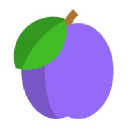 Company Logo for Medplum
