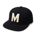 Company Logo for ModPhone.ai