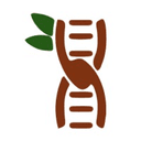 Company Logo for Tamarind Bio