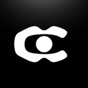 Company Logo for Camera Search