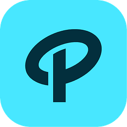 Company Logo for Paace